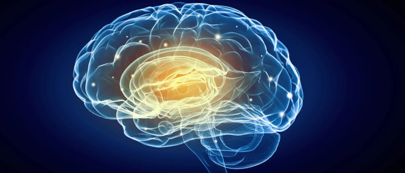 Homepage Brain image for Spring 2026 Newsletter