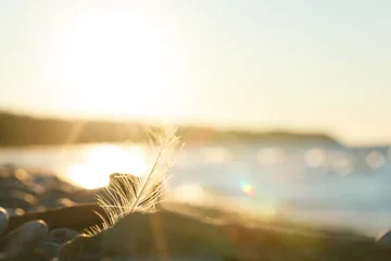 image-sundown-water
