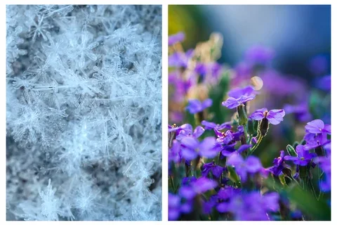 winter-spring newsletter