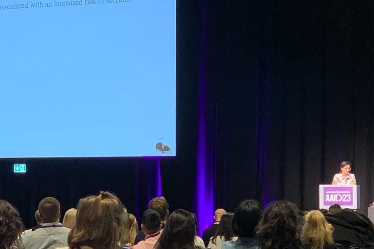 2023 AAIC, panel discussion.