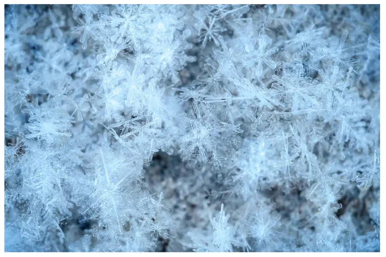 winter newsletter
