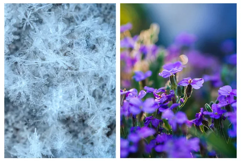 winter-spring newsletter