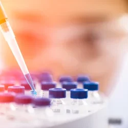Research taking place in a lab