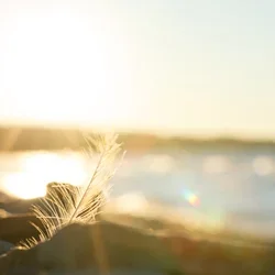 image-sundown-water