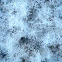 winter newsletter