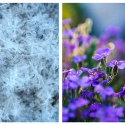 winter-spring newsletter