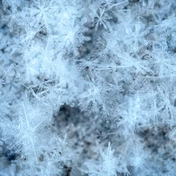 winter newsletter